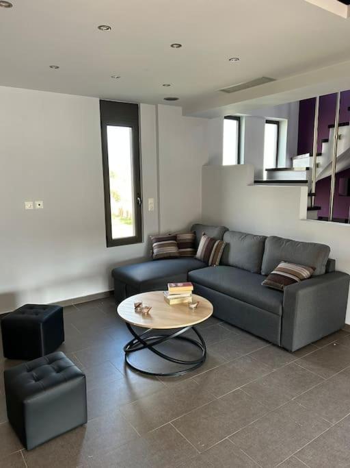 חיליאדו Villa Chiliadou מראה חיצוני תמונה